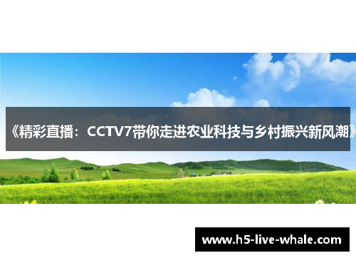 《精彩直播：CCTV7带你走进农业科技与乡村振兴新风潮》