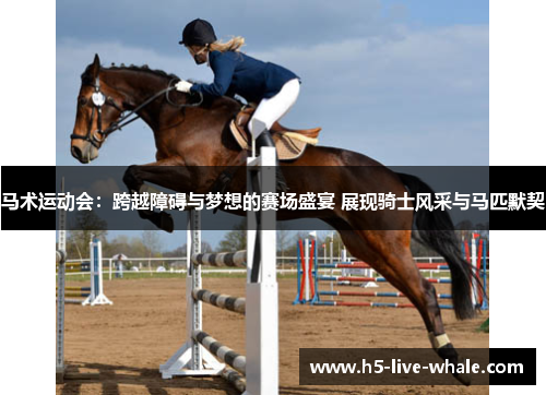 马术运动会：跨越障碍与梦想的赛场盛宴 展现骑士风采与马匹默契